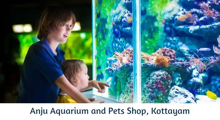Anju Aquarium and Pets Shop in Moolavattom