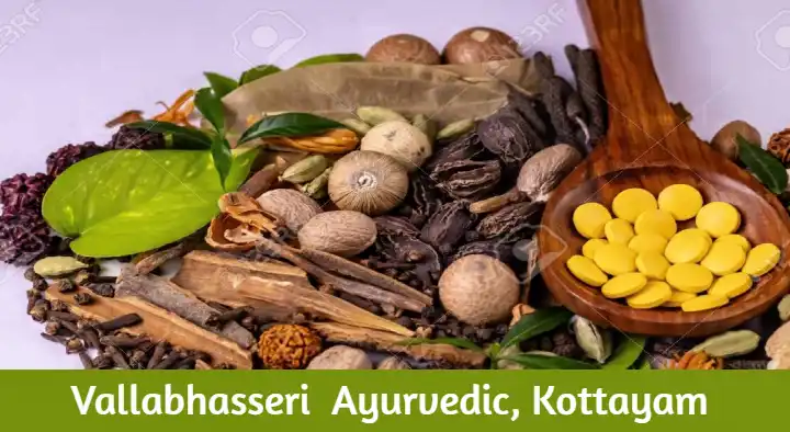 Vallabhasseri Ayurvedic in Moolavattom