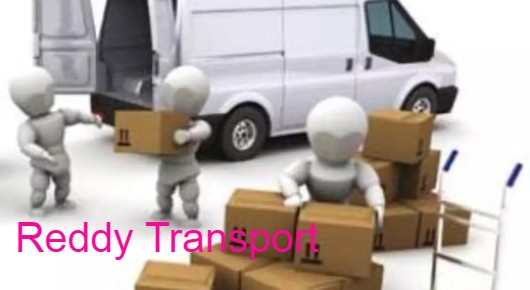 Reddy Transport in Kurnool, Kurnool