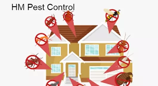 HM Pest Control near VITTAL NAGAR in Kurnool