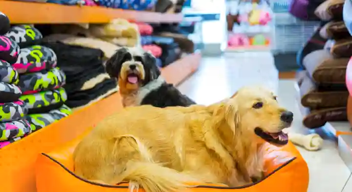 Fish World Aquarium Shops in Christianpally