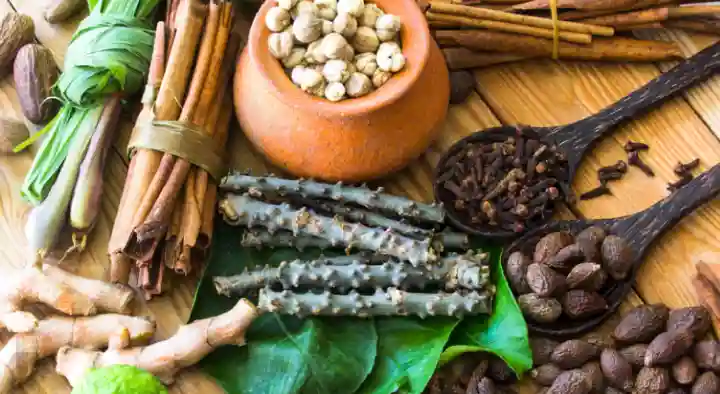 Sai Prasad Ayurvedic in Mothi Nagar