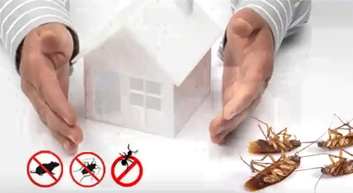 Sri Chakra Pest Control in Laxmipuram Colony