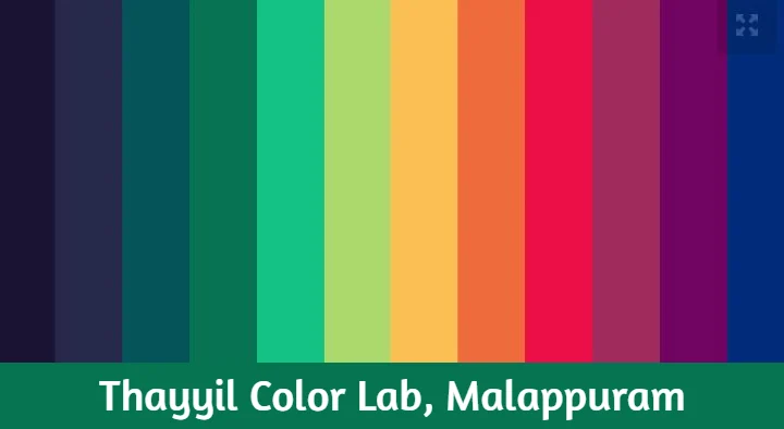 Thayyil Color Lab in Pandikkad Road