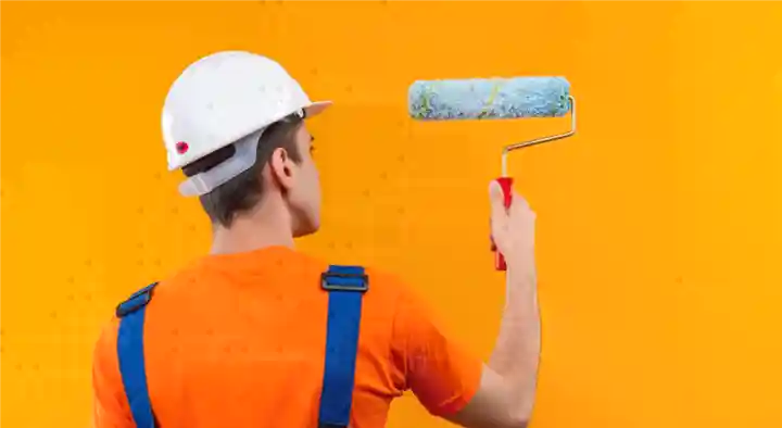 Dasarath Painter Works in Krishna colony