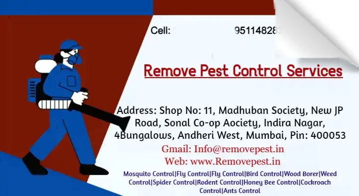 Remove Pest Control Services in Andheri West