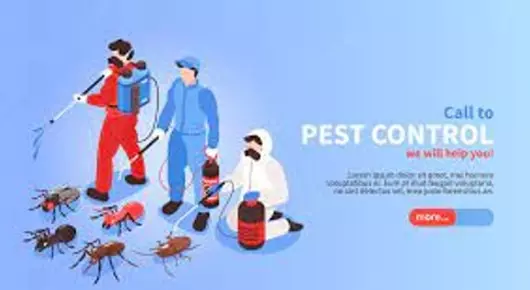 Pest Control Professionals in Maravankudieruppu