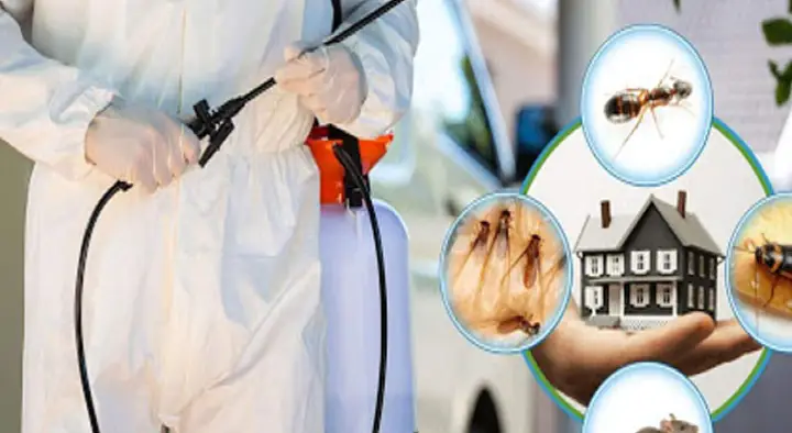 Hi Tech Pest Control Services in Bhagya Nagar