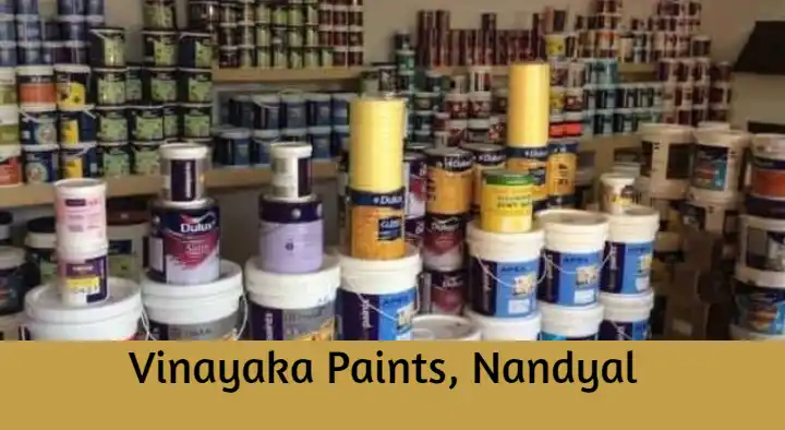 Vinayaka Paints in Salim Nagar
