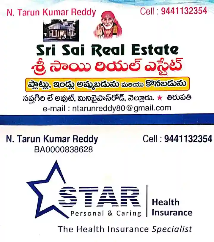 Sri Sai Real Estate in Mini Bypass Road
