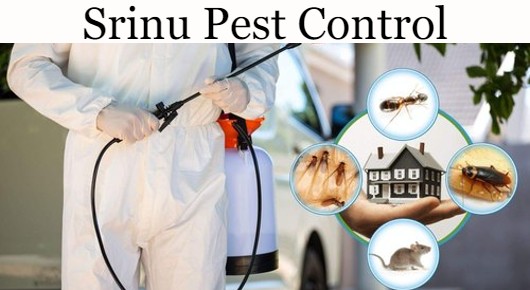 Srinu Pest Control in Ramesh Reddy Nagar