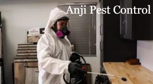 Anji Pest Control near Fathekhanpet in Nellore