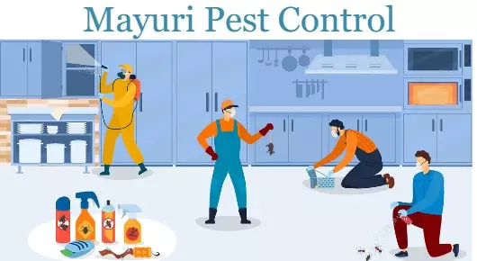 Mayuri Pest Control near Pogathota in Nellore