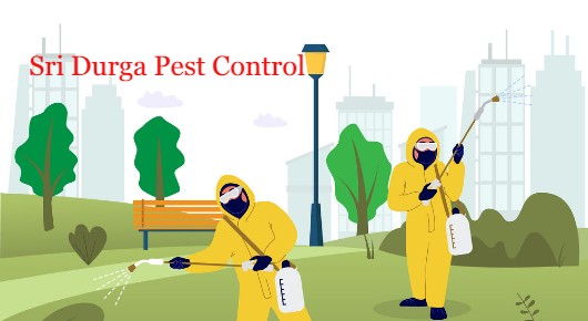 Sri Durga Pest Control in Fathekhanpet