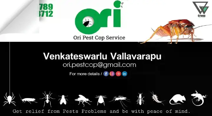 Ori Pest Cop Services near Padmavathi Nagar in Nellore