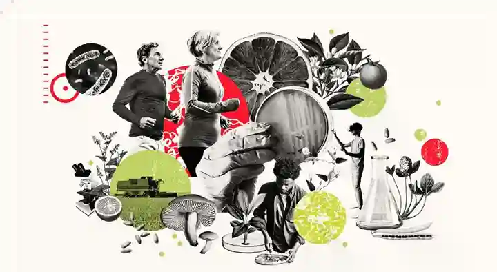 Happy Nutrition Center in Pragathi Nagar, Nizamabad