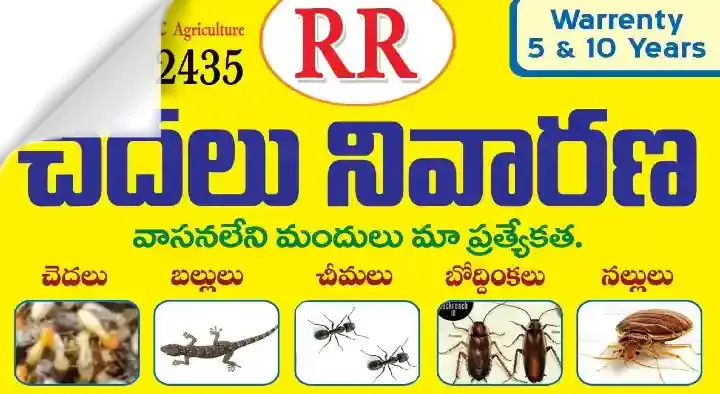 RR Pest Control and Sanitation in Kurnool Road