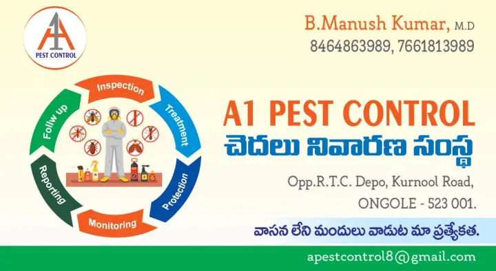 A1 Pest Control in  Kurnool Road