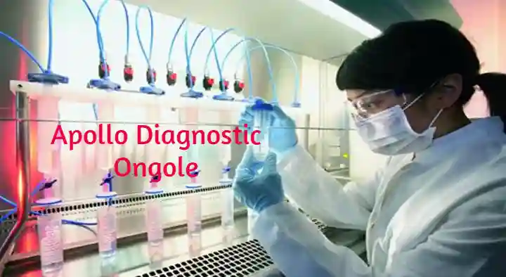 Apollo Diagnostics in Anjaiah Road