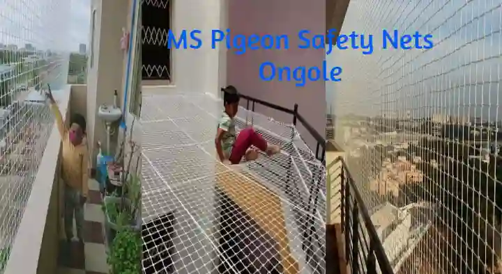MS Pigeon Safety Nets in Anjaiah Road