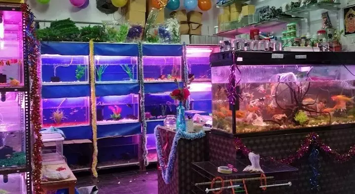 Srinidhi Aquatic and Pet World in Santhapet