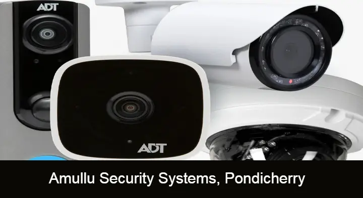 Amullu Security Systems in Anada Nagar