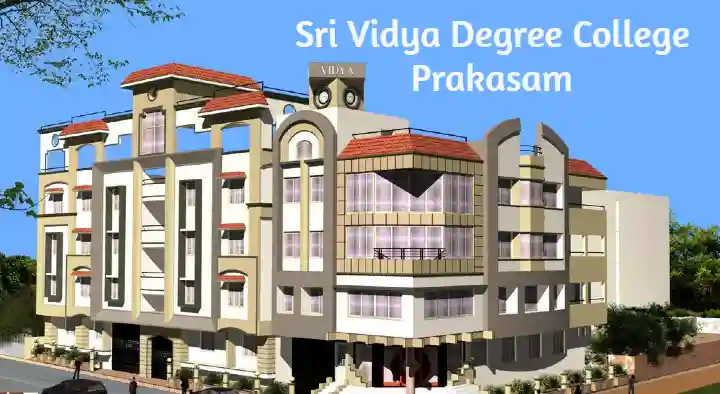 Sri Vidya Degree College in Paparajuthota