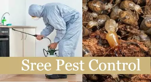 Sree Pest Control in Gandhipuram, Rajahmundry