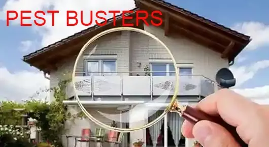 Pest Busters in Danavai Peta