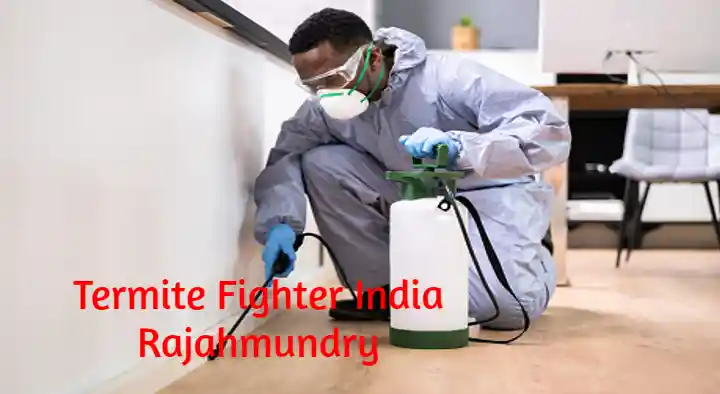 Termite Fighter India near Main road in Rajahmundry