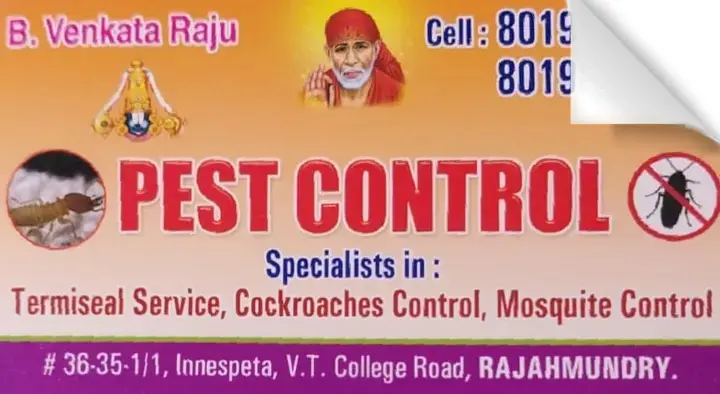 Pest Control near Innespeta in rajahmundry
