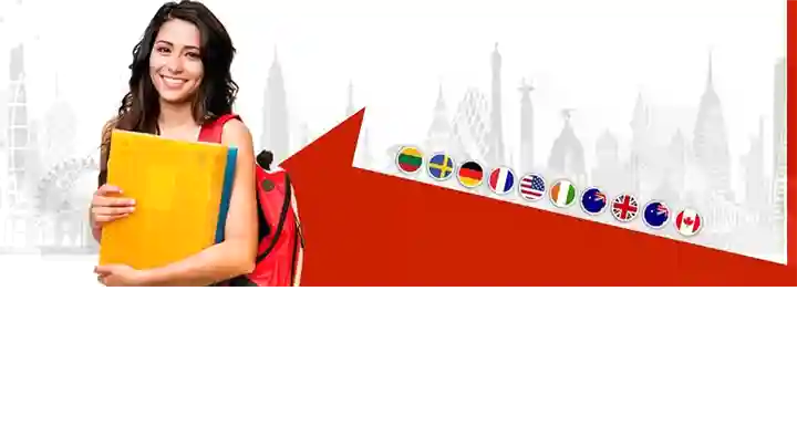 Acharya Education Consultants in Hanuman Nagar