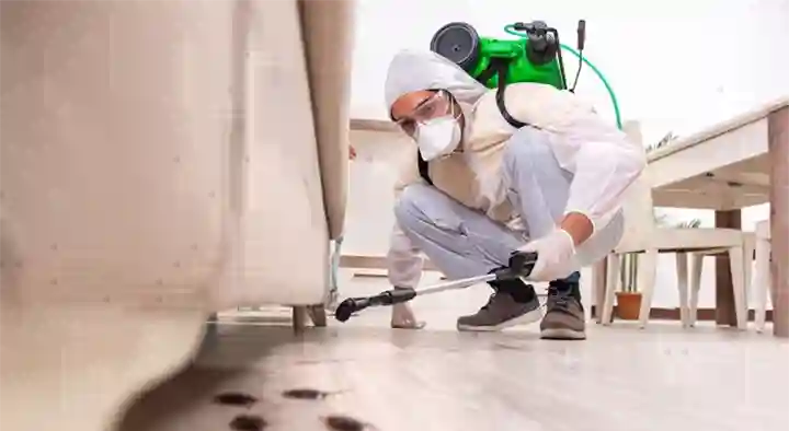 Lakshmi Pest Control Services in Jyothi Nagar