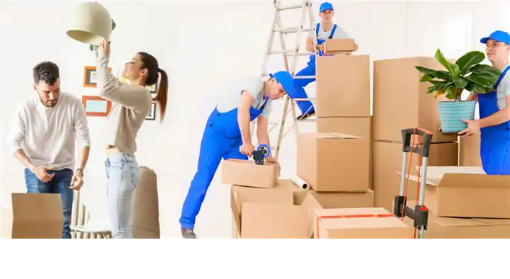 Selvaganapathy Packers and Movers in Erumapalayam