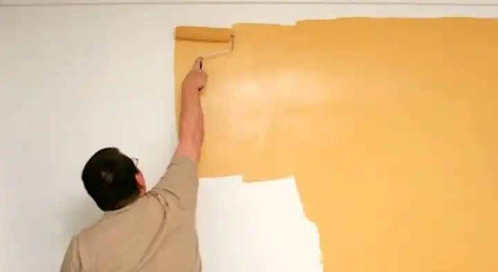 Hansar Painting Works in Prapu Nagar