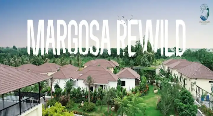 Margosa Rewild in Goudicherla Village