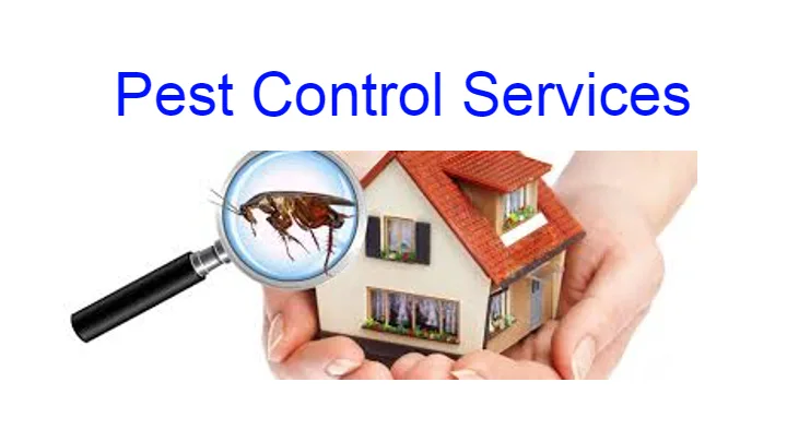 Pest Control Services in Thane Koliwada