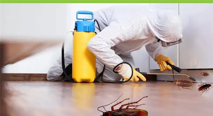 Asiati Pest Control in Vasanth Nagar