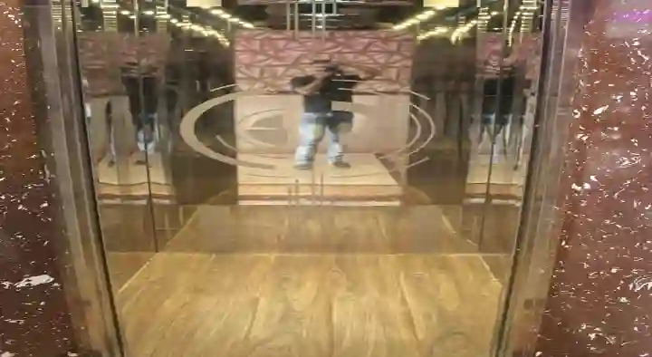 Apple Elevators and Lifts in NGO Colony