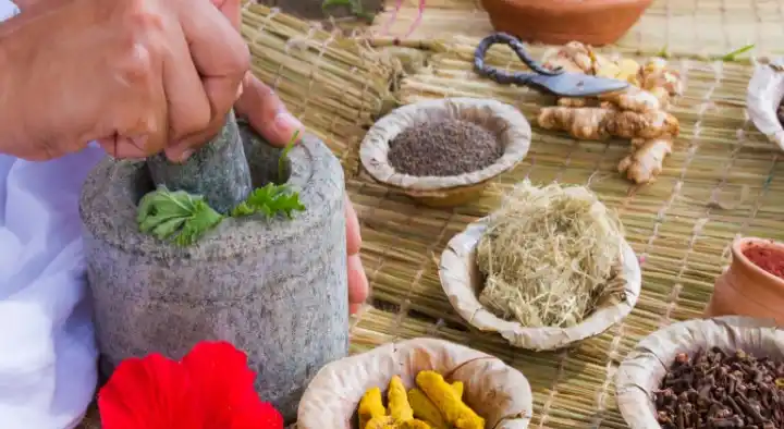 Partha Ayurvedic Hospital in Balaji Nagar