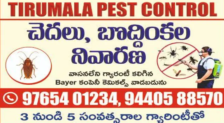 Tirumala Pest Control near Leela Mahal Circle in Tirupati
