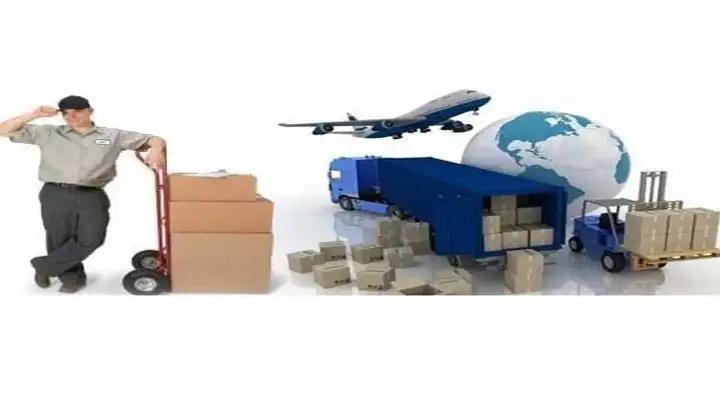 Garudavega International Courier in Saibaba Nagar