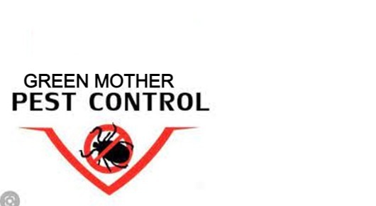 Green Mother Pest Control in Kattabomman Street