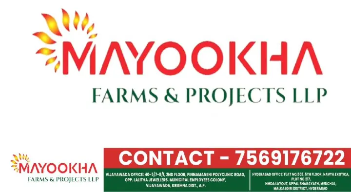 Mayookha Farms and Projects LLP in Main Road, Vijayawada
