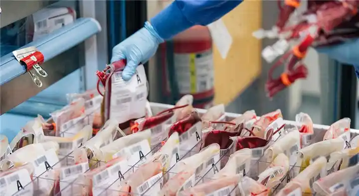 Vijaya Sri Blood Bank near Moghalrajpuram in Vijayawada