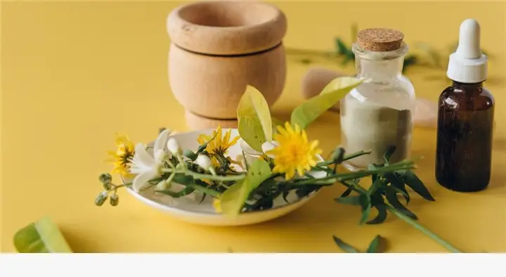 Doctors Homeopathy Clinic in Labbipet