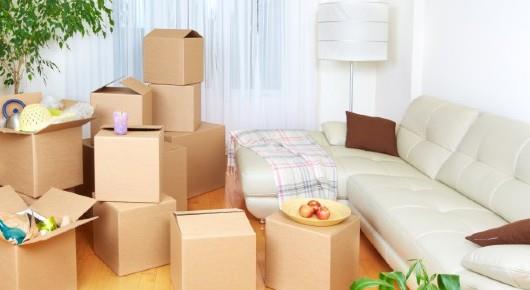 Sree Lakshmi Packers and Movers in Benz Circle, Vijayawada