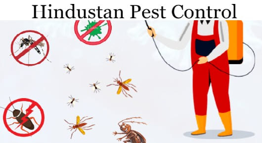 Hindustan Pest Control in Gandhi Nagar