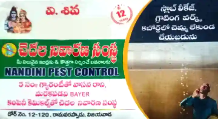 Nandini Pest Control in Ramavarapadu