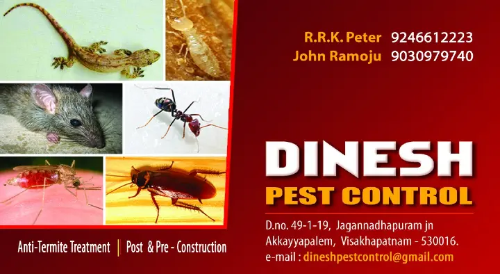 Dinesh Pest Control in Akkayyapalem